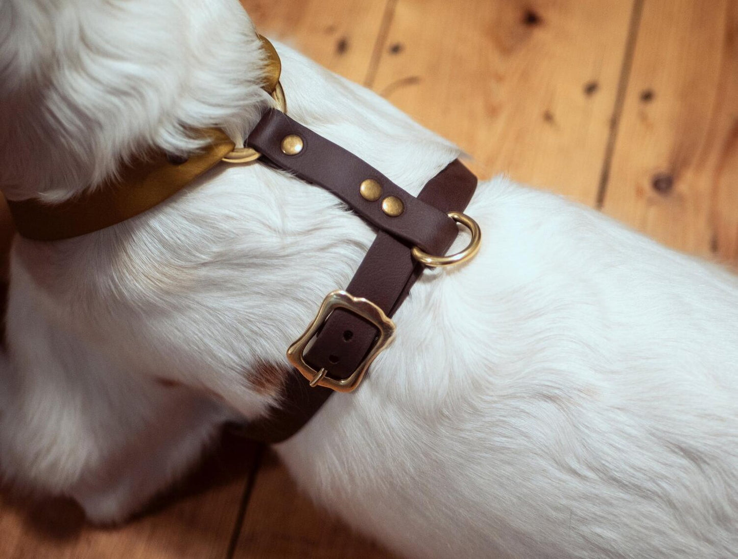 WoofTown, Multi-Way Dog Harness