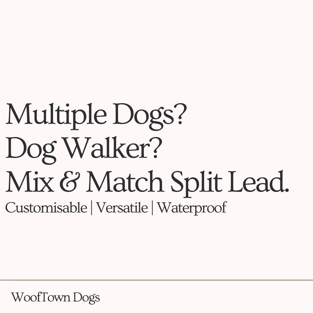 Split Lead | Multiple Dogs