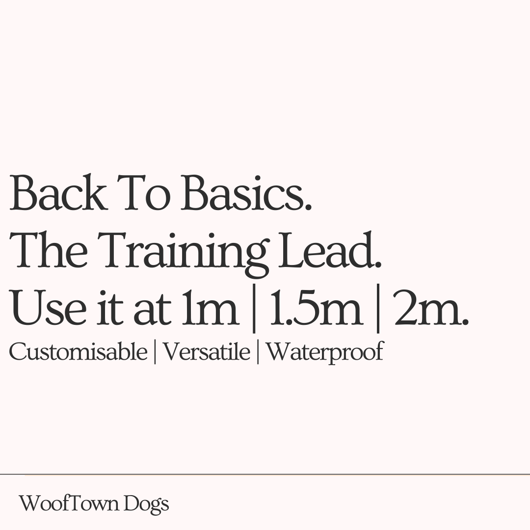 Training Lead